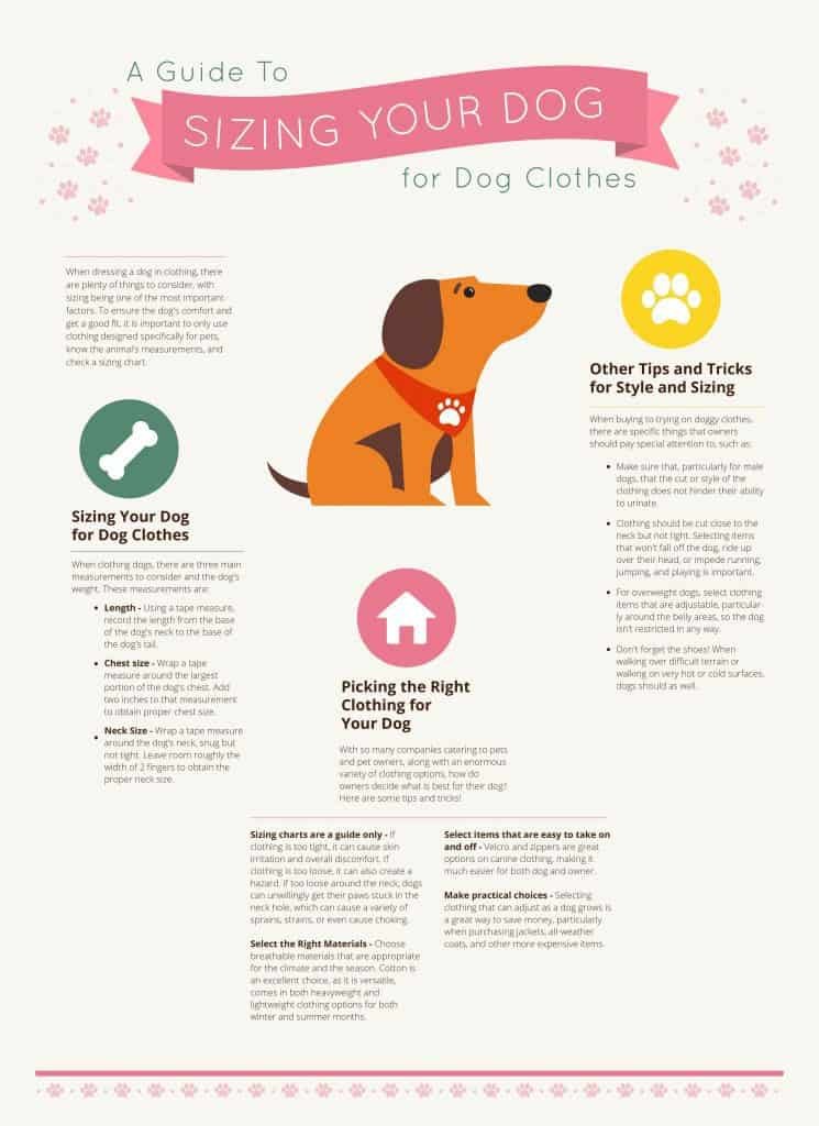 A Guide To Sizing Your Dog for Dog Clothes page 001