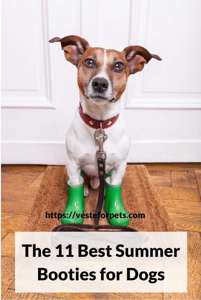 The 11 Best Summer Booties for Dogs