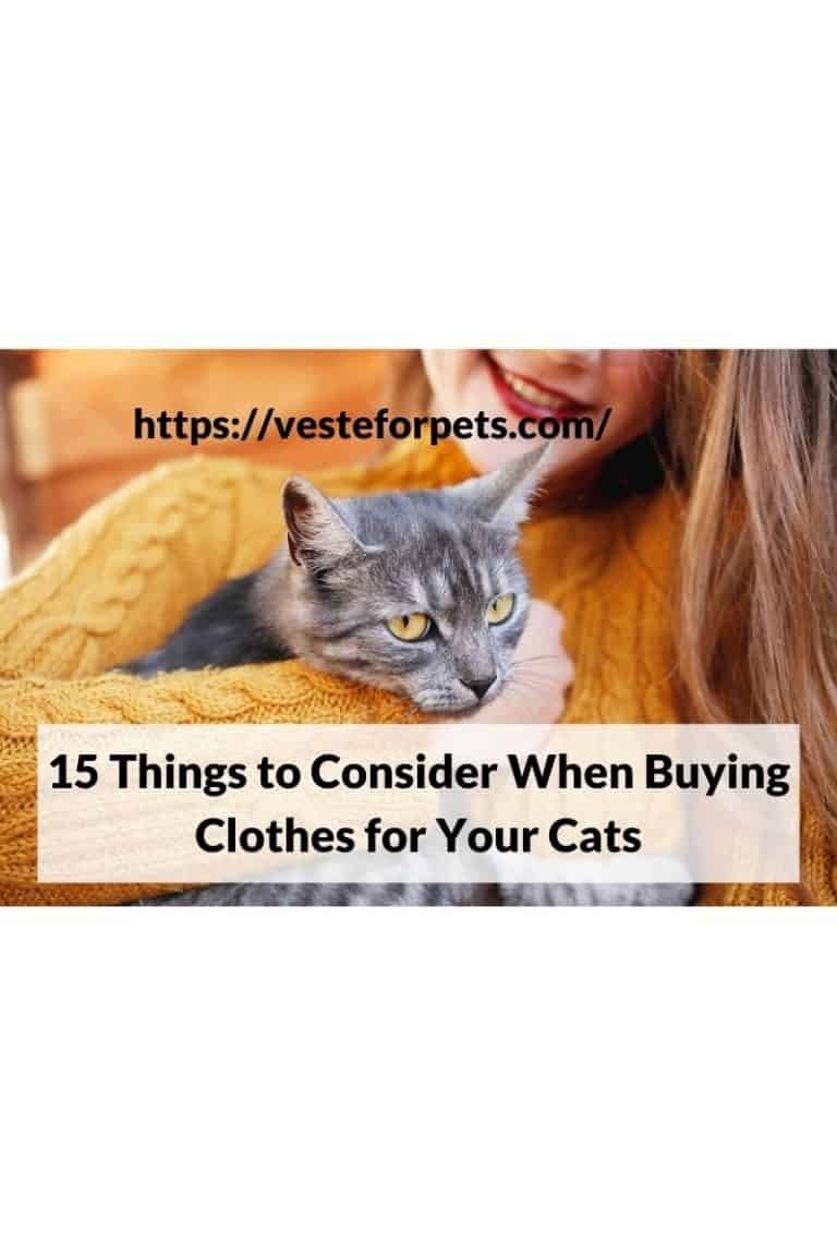 15 Things to Consider When Buying Clothes for Your Cats Veste for Pets