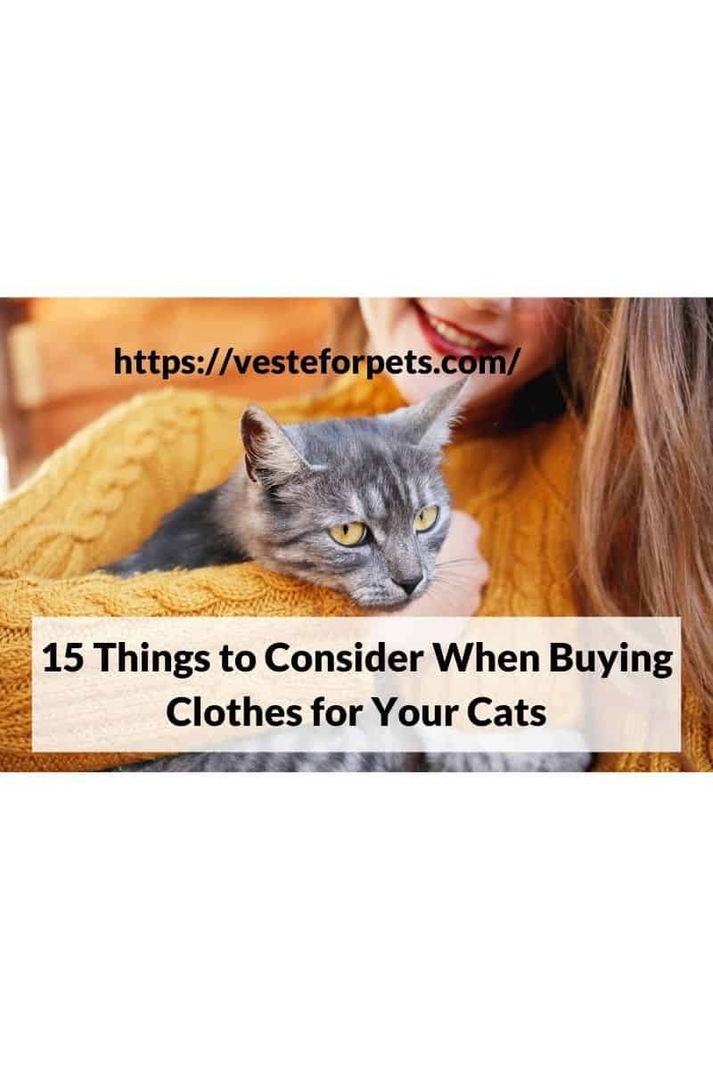 15 Things to Consider When Buying Clothes for Your Cats