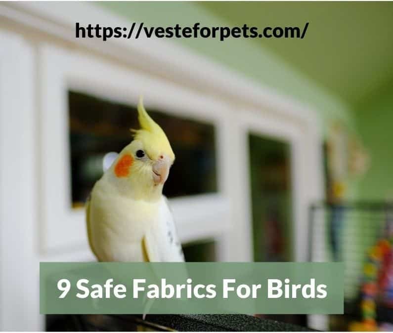 9 Safe Fabrics For Birds