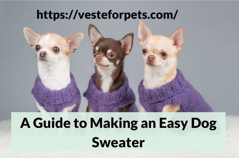 A Guide to Making an Easy Dog Sweater