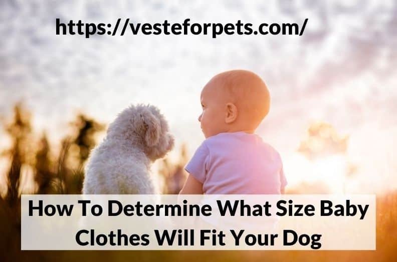 How To Determine What Size Baby Clothes Will Fit Your Dog