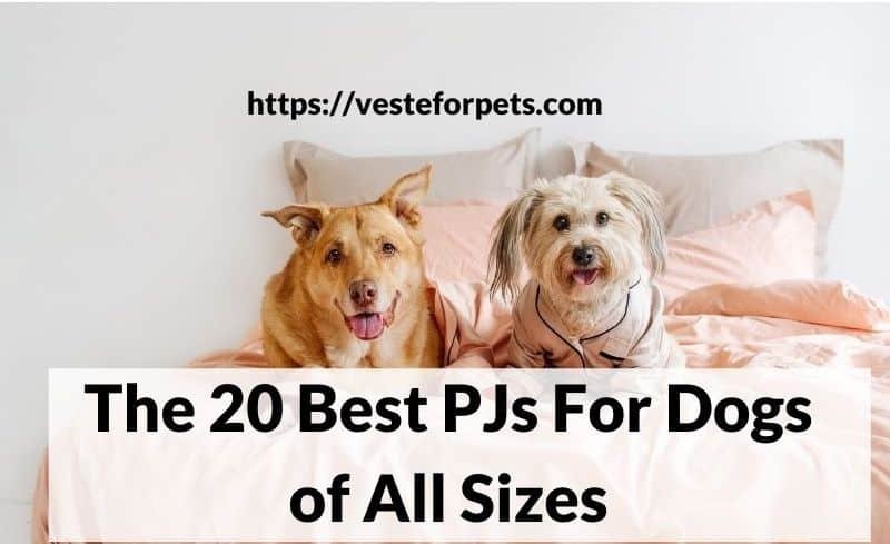 The 20 Best PJs For Dogs of All Sizes