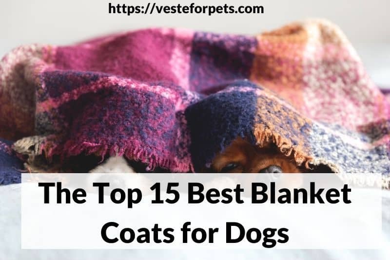 The Top 15 Best Blanket Coats for Dogs