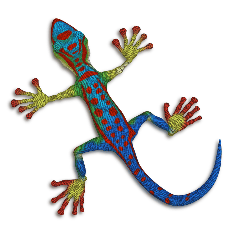 Gecko Fashion: A Stylish Guide